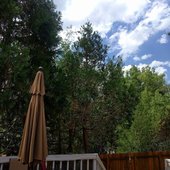 Profile Picture of Lucia Etchamendy (@etch123) on Poshmark