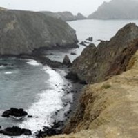 Profile Picture of Kathy Riggs (@kathy-riggs) on Quora