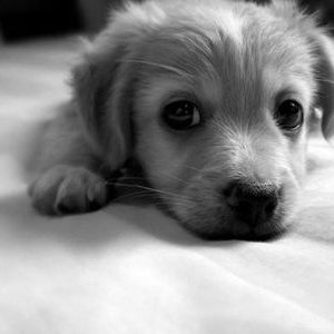 Profile Picture of JamesXia (@JamesXia1r) on Twitter