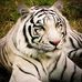 Profile Picture of Clifford Hust (@clifford.hust.948) on Facebook