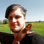 Profile Picture of Jamie Lintott (@reptile_gallery_uk) on Instagram