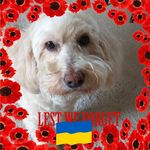 Profile Picture of Hilary Simons (@hilliepeanuts) on Instagram