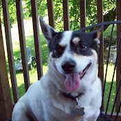 Profile Picture of Jerry Murph Matney (@murphedog) on Youtube