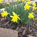 Profile Picture of Denise Mitchell Mentzer (@denise.mentzer) on Facebook