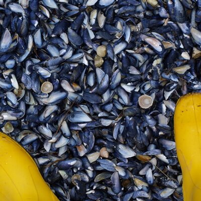 Profile Picture of Bob Marsden (@bobmarsden) on Twitter