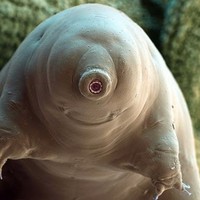 Profile Picture of Addi Schmidt (@addi-schmidt) on Quora