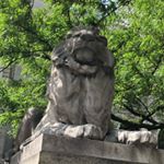 Profile Picture of Jason (@jason__karl) on Instagram