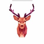 Profile Picture of X (@ravenmccloud.j) on Instagram