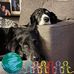 Profile Picture of Renee Cook (@profile.php) on Facebook