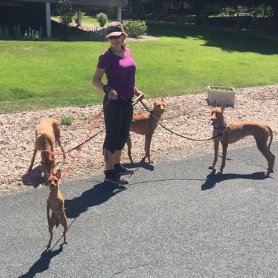 Profile Picture of Robin Jagoda (@robin_jagoda) on Twitter