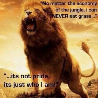 Profile Picture of Eugene Engelbrecht (@eug1973) on Twitter