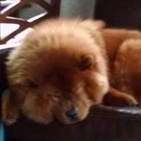 Profile Picture of Alex Picard (@alex-picard-7) on Quora