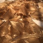 Profile Picture of Nicholas Cooper (@deerduckdoorwoodoven) on Instagram