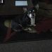 Profile Picture of Nell Pritchett (@Nell-Pritchett) on Facebook