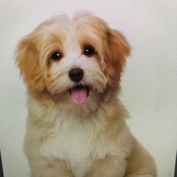 Profile Picture of Oliver Baldwin (@oliverbaldwin22) on Poshmark