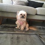 Profile Picture of Benjamin Mehmeti (@benjamin.mehmetii) on Instagram