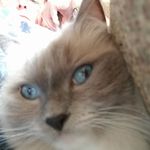 Profile Picture of Deborah Easley (@deboraheasley) on Instagram