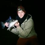 Profile Picture of Martin Ebeling (@lingling.040) on Instagram