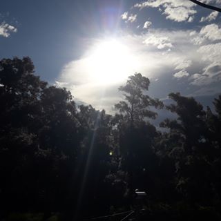 Profile Picture of Aurelio Flores (@Aurelio-Flores) on Facebook