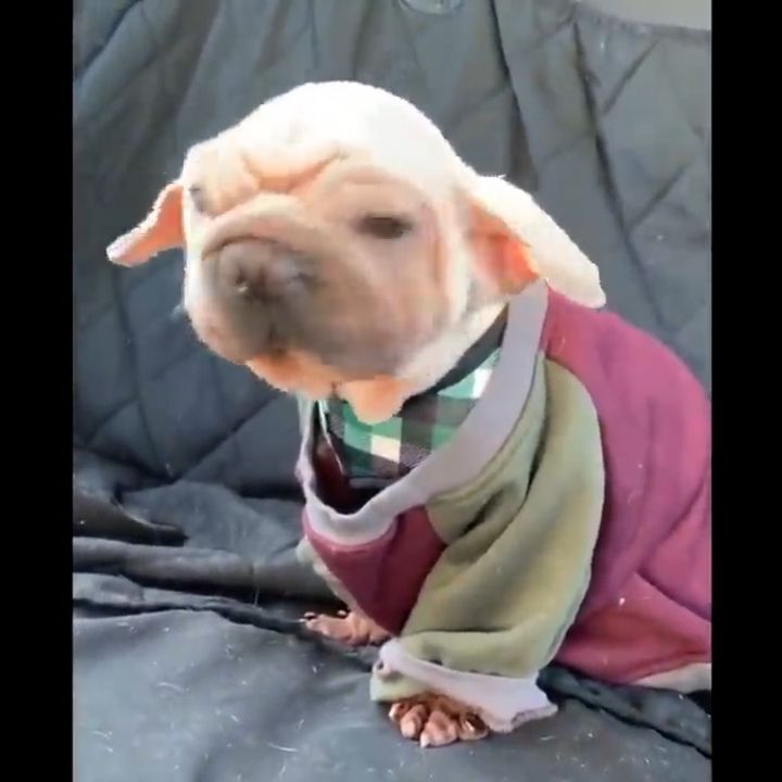 Profile Picture of Ki Marvell (@bobjim469) on Tiktok