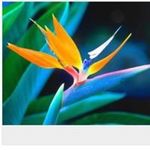 Profile Picture of Myrna Cecchini-Gilbert (@myrnacg) on Instagram