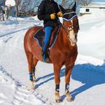 ✨Francesca & Duncan✨ - Instagram Profile Picture of ✨Francesca & Duncan✨ (@_franci_duncan_) on Instagram