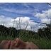Profile Picture of Vincent Kramer (@thavinci) on Pinterest