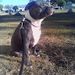 Profile Picture of Don Fixer (@donfixer) on Pinterest