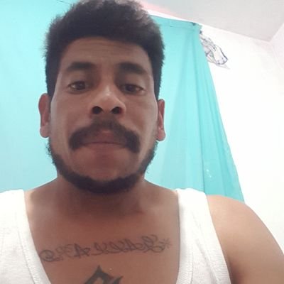 Profile Picture of Luis Adrian Gallardo Dominguez (@LuisAdrianGall4) on Twitter