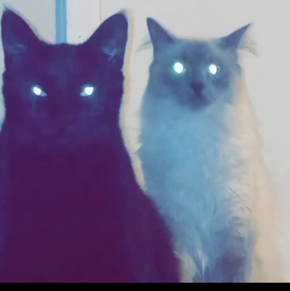 Profile Picture of James Barnett (@jamesplamar) on Poshmark