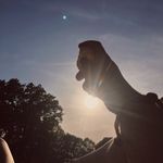 Profile Picture of Sophia Richardson (@sophi__rose) on Instagram