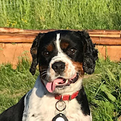 Profile Picture of Chase (@Chase-ky2ln) on Youtube