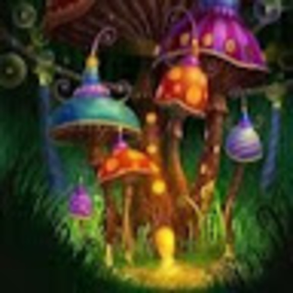 Profile Picture of Kim Blough (@kimberlyblough) on Poshmark