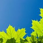 Profile Picture of Sylvester Stephens (@stephenssly6962) on Instagram