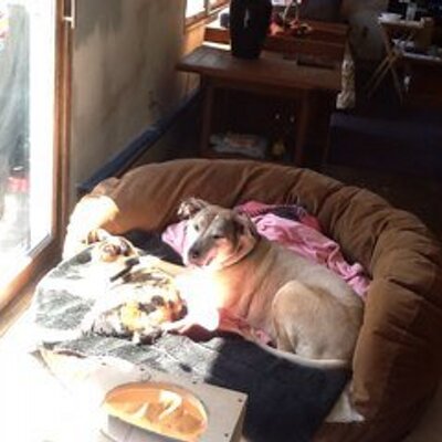 Profile Picture of Mary Anne Royer (@AnneMar153) on Twitter