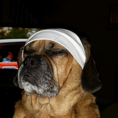 Profile Picture of Glen Norman (@moneybaggz02) on Twitter