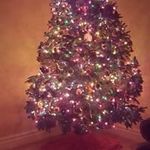 Profile Picture of Karen Edwards- DeYoung (@karen.e.deyoung) on Instagram