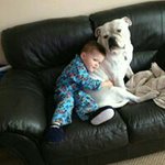 Profile Picture of Ian Blakey (@blakeyian) on Instagram