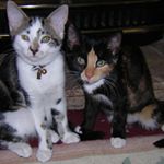 Profile Picture of Mandy Goodall (@mandy.goodall.1) on Instagram