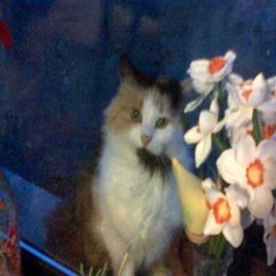 Profile Picture of Katelyn Huff (@NIEkLbJn) on Twitter