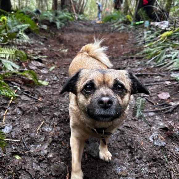 Profile Picture of Nancy Shields (@dropcliffs) on Poshmark