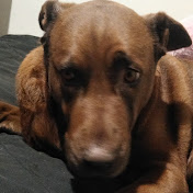 Profile Picture of Nick Blake (@nickblake3205) on Youtube