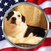Profile Picture of Dustin Womack (@@dustinwomack1) on Tiktok