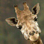 Profile Picture of michael (@michaelvanleuven) on Instagram