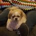 Profile Picture of Floyd Hays (@floyd.hays.3) on Facebook
