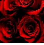 Profile Picture of Sharbani Sethi (@Sharbani-Sethi) on Facebook