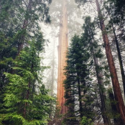 Profile Picture of Aaron Gebauer (@AaronGebauer) on Twitter