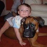 Travis Marshall-Powell - Instagram Profile Picture of Travis Marshall-Powell (@trazzahd123) on Instagram