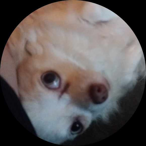 Profile Picture of Sam Schlichenmaier (@joelle1421) on Poshmark