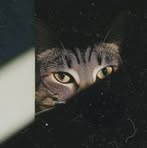 Profile Picture of Conra Gallegos (@Conra-Gallegos) on Facebook